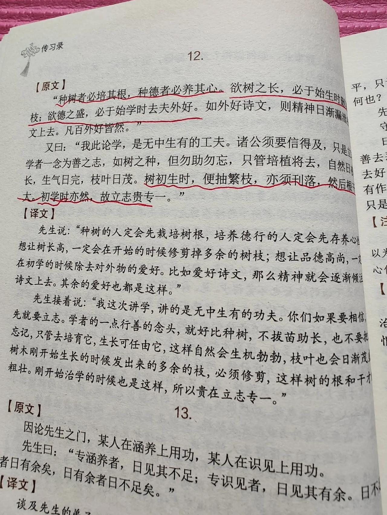 种树者必先培根，种德者必养其心小时候不懂为什么要修剪枝条，让树木自然生长不好吗