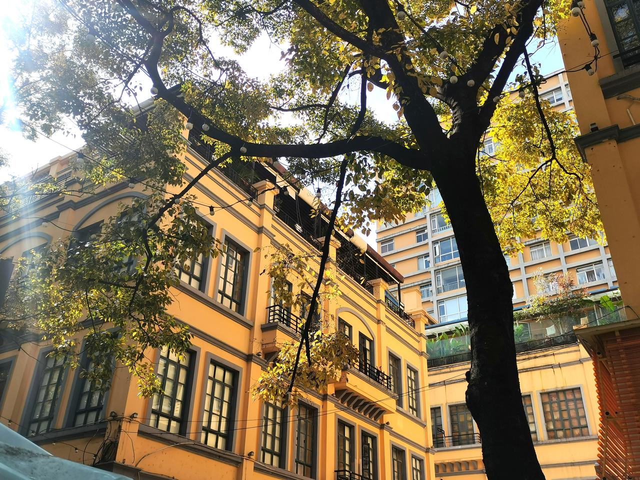 如果要选一种颜色来代表昆明，那一定是明黄色。昆明低纬度高海拔的独特地理属性，让