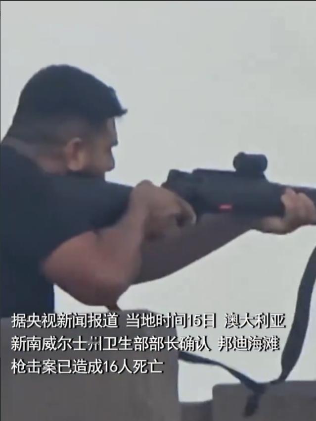 澳大利亚的父子枪手，针对的是犹太人。一开始还纳闷，这对父子怎么能够从那么多人中，