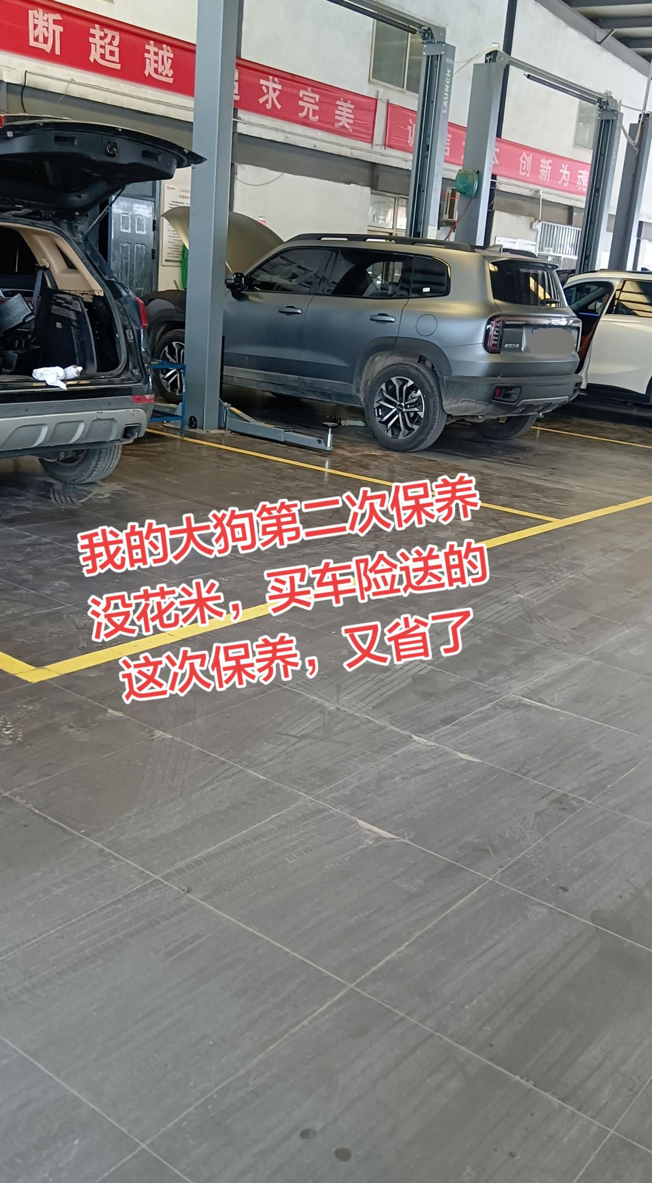 哈弗大狗买车险还送保养，真好