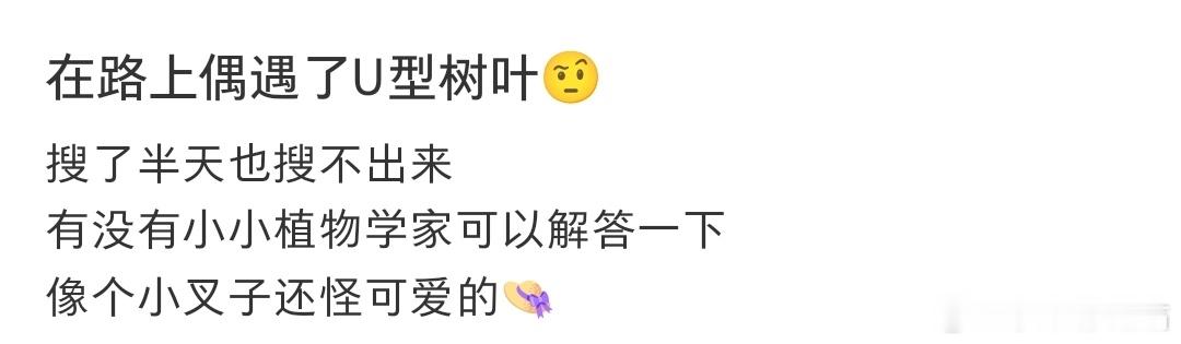 在路上偶遇了U型树叶🤨​​​