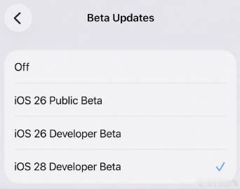iOS 27 已经发布，看看 iOS 28 ☝️