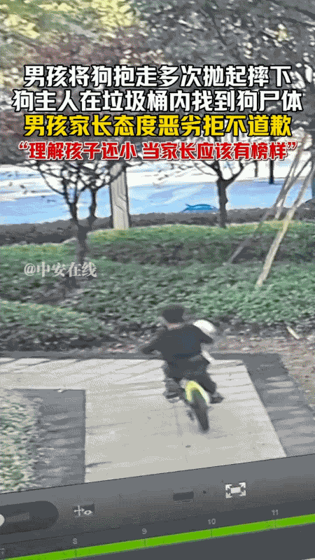 “不就是一条狗吗”!温州男孩摔狗致死，家长拒接道歉!10月27号，当