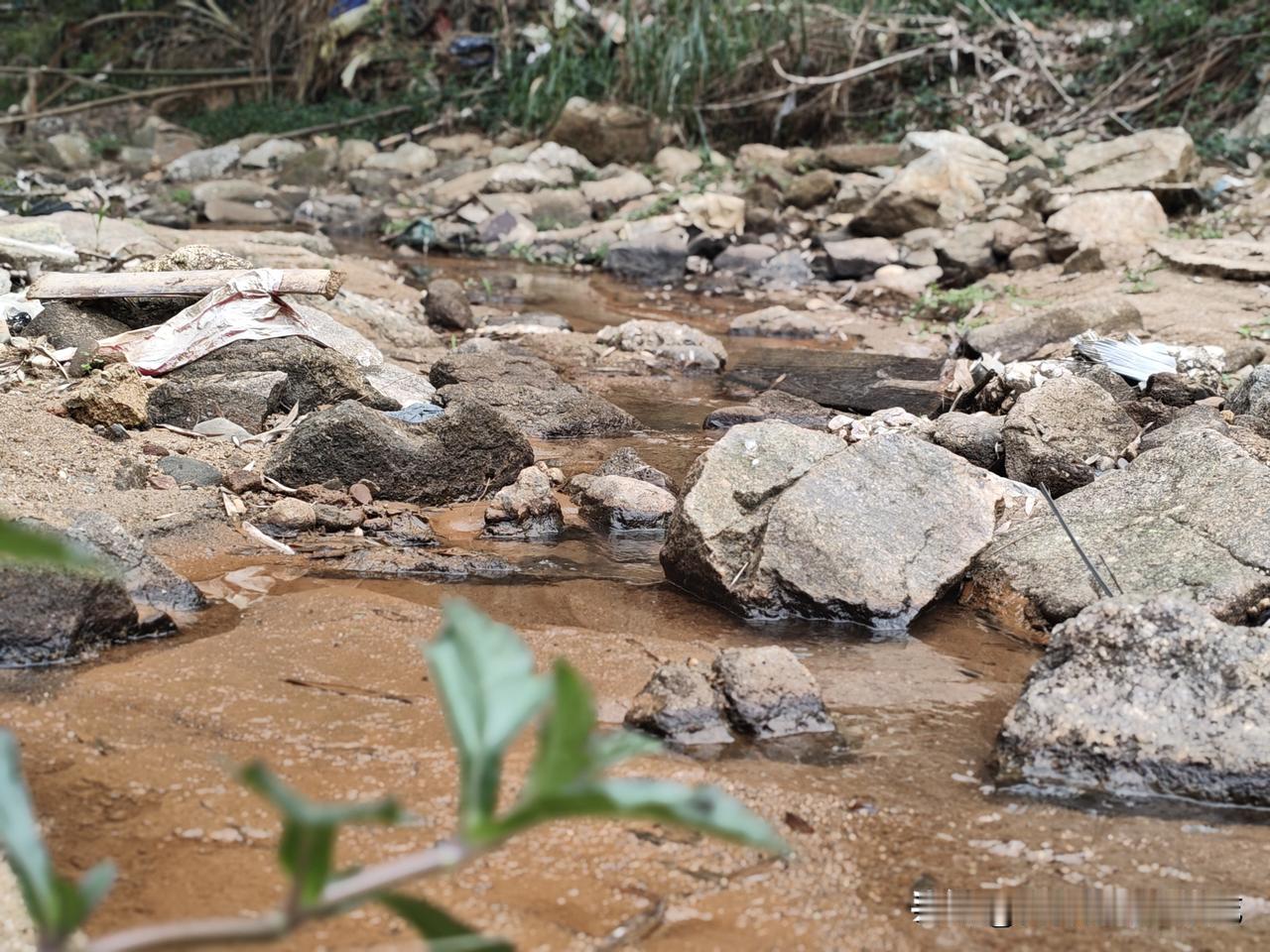 我的家庭地位高是不可否认的，平时的一日三餐都是我说了算，厨房都是我做主。家里的