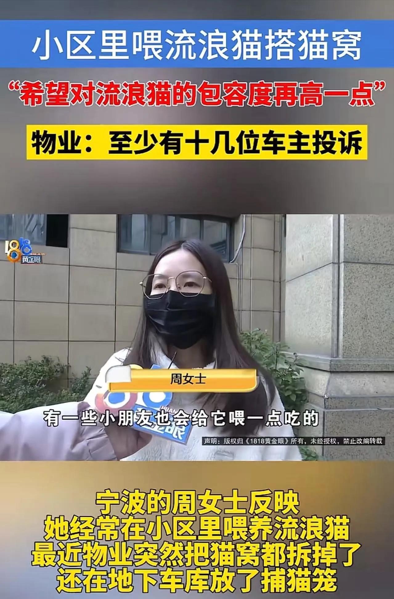 宁波女子小区喂猫搭窝被物业清理，争议刷屏！爱心该不该有边界？浙江宁波一小区