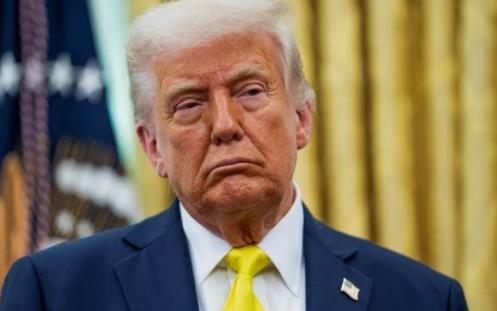 一位日本华人表示“高端轴承、精密仪器、传感器、机器人减速器、碳纤维、光刻胶以及