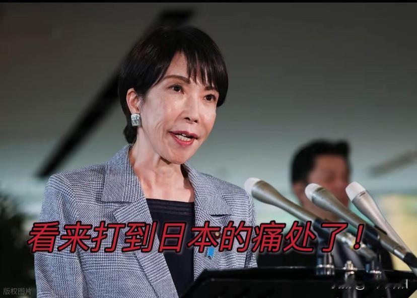 看来是打到日本的痛处了！日本内阁官房长官紧急召开记者会12月15日，中方