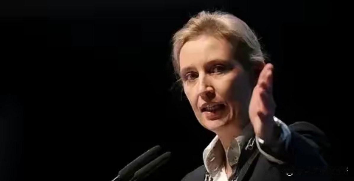 德国这回真炸了！选择党民调冲到27%，直接登顶。那些传统的老牌政党，像联