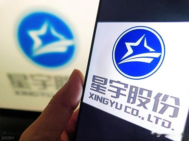 三次道歉毫无诚意！逼107名应届生离职、威胁背调，龙头企业彻底翻车星宇股份三次道歉未消众怒，股价两个