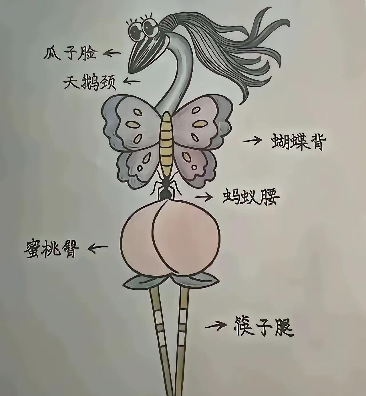 哈哈太形象了～～