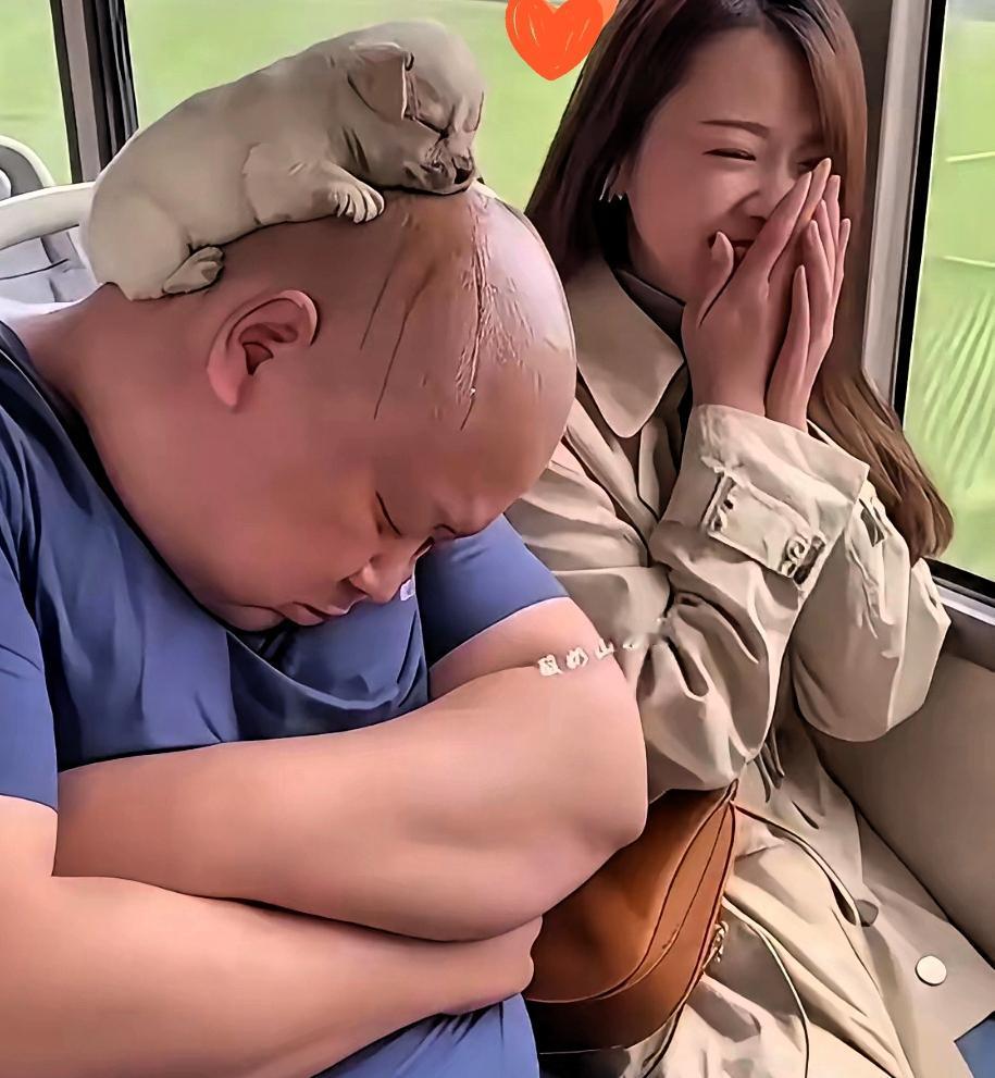 笑不活啦！公交车上惊现“头顶睡神”！大哥光溜溜的头顶上，居然蜷着一只睡得打呼的小