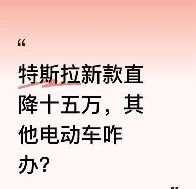 这次特斯拉下狠手，直接把新款车价格降至十五万。要知道，其他电动车跟特斯拉比还有很