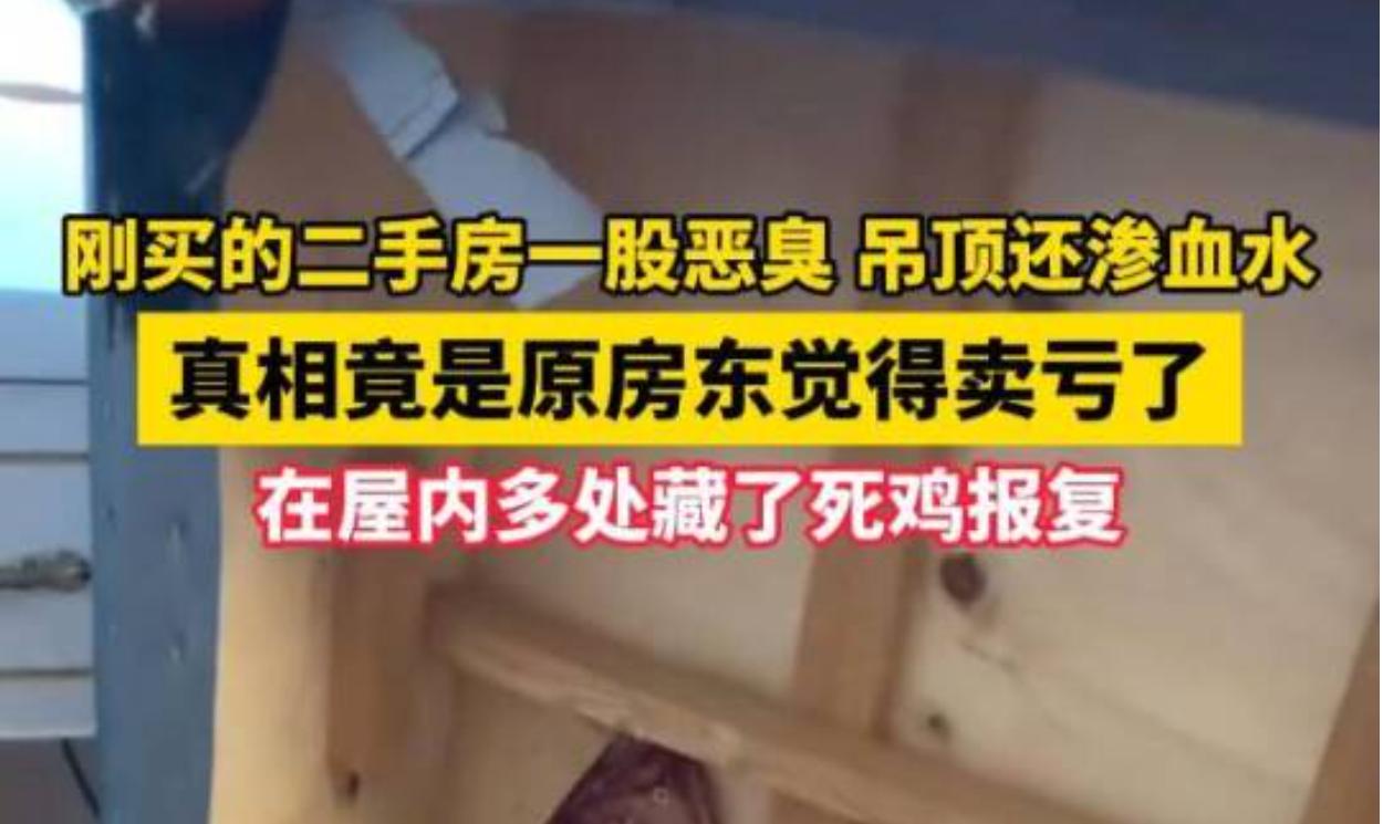 安徽合肥一位不愿透露全名的市民（化名杨女士）近期分享了自己购房后的糟心经历，顺利
