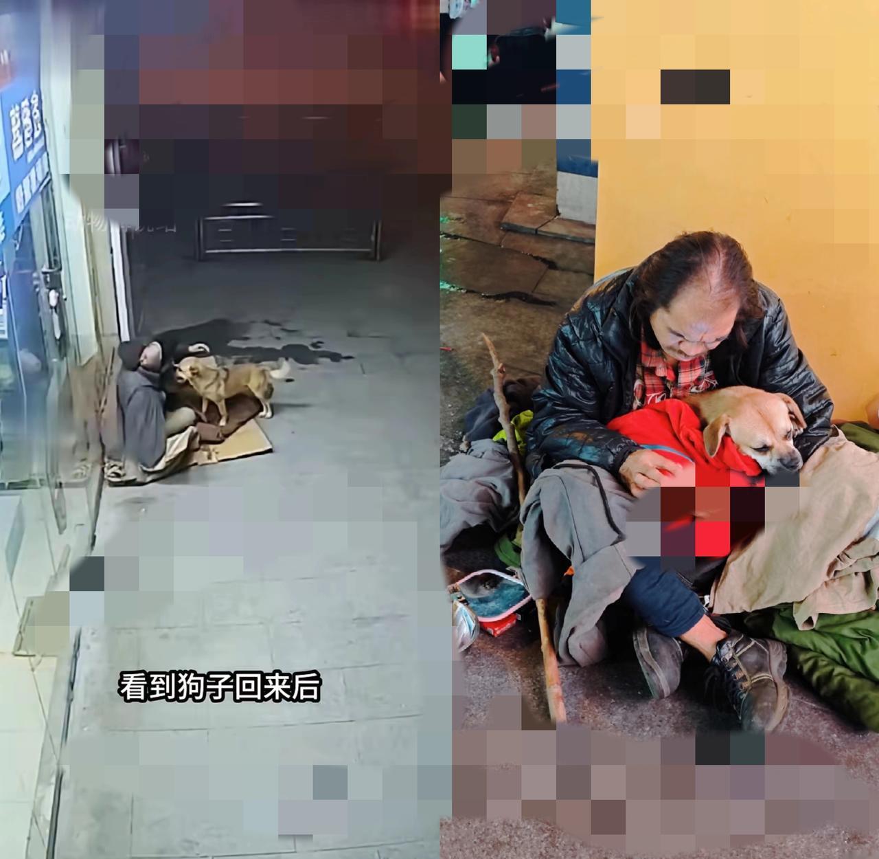 破防了！流浪汉与狗的双向奔赴，才是最纯粹的深情！