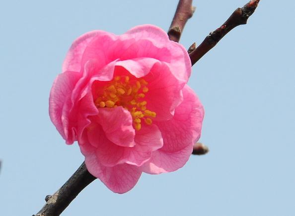 周末重磅消息，下周走势前瞻！周末重磅消息如下：一、据媒体报道，近日，证监会依