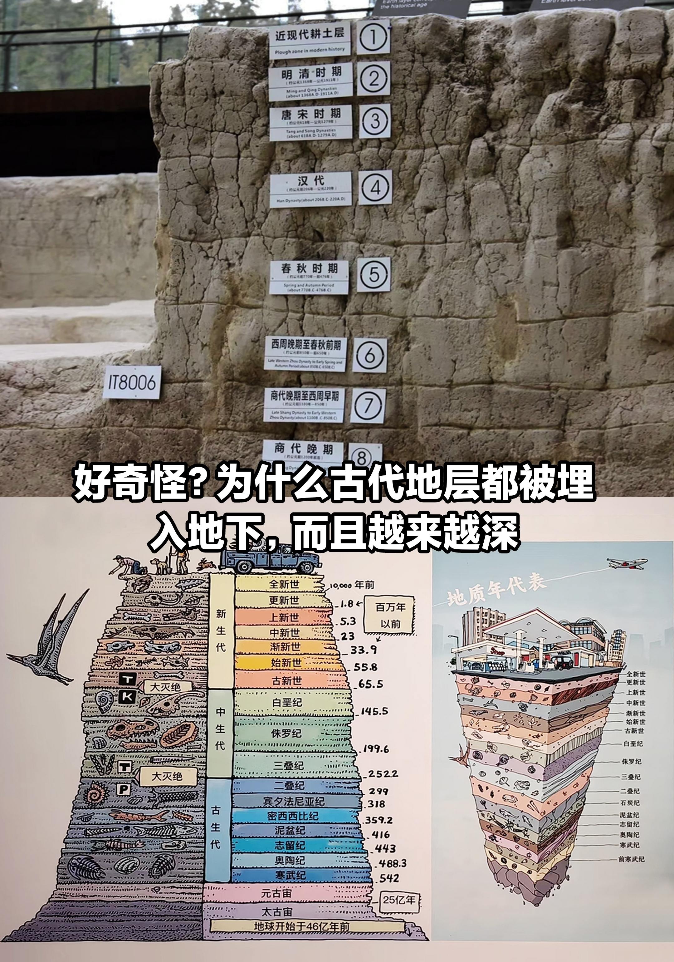 难道地球越来越厚了？古代地层越来越深。