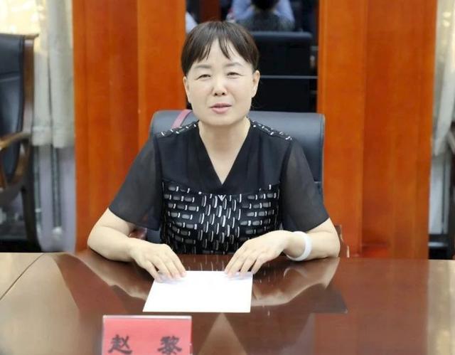 涉嫌严重违纪违法, 赵黎任上被查