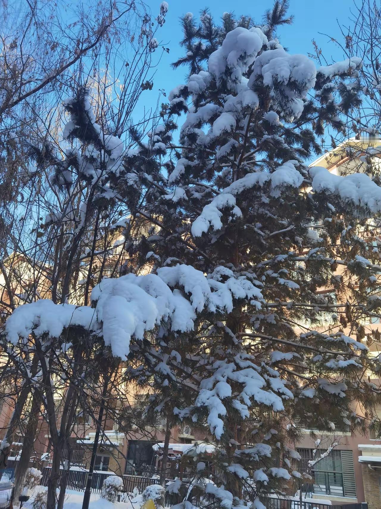 做人保护自己的秘诀：1，经常贬低你的人，断。2，见不得你好的人，远。3，经