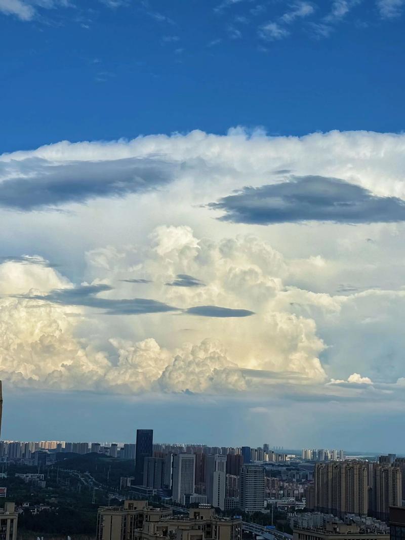 今日运势：丙午年甲午月丙子日2026.7.1日鼠：小吉财运较好牛：多有