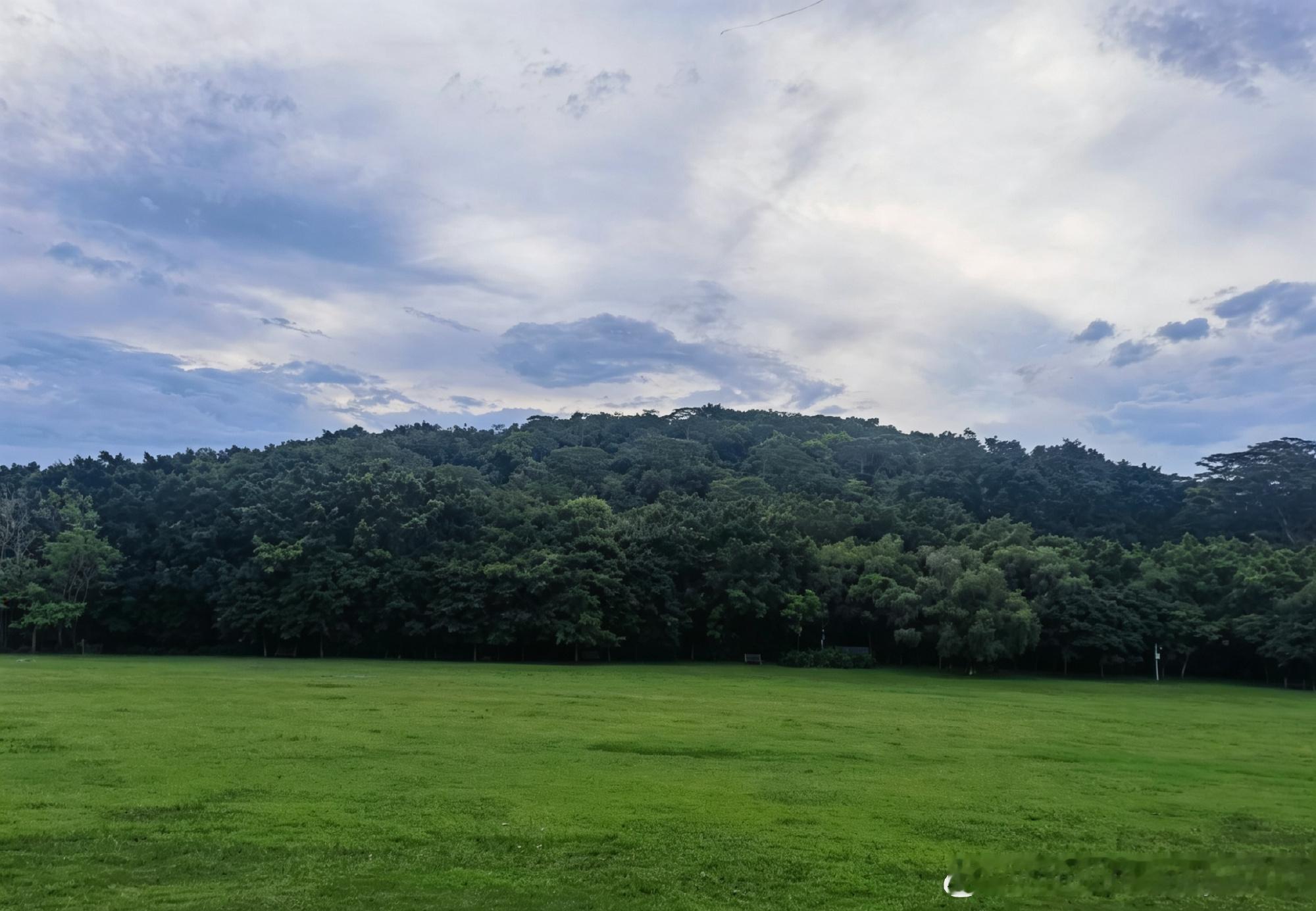 下午本来想出门爬山，结果临出门前下起了大雨，于是作罢，改道去图书馆呆了...