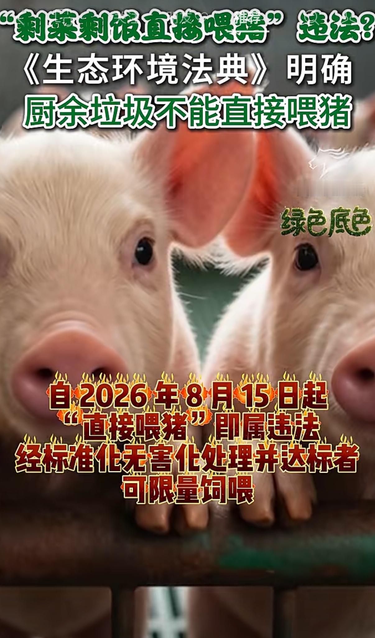 网传8月15日起剩饭喂猪就违法，真相来了。《生态环境法典》8月15日施行，禁