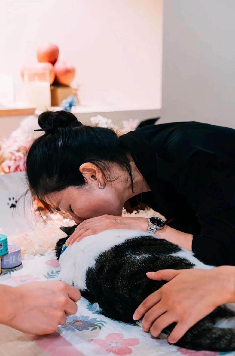 “你不要把妈妈忘了,哪一天妈妈走了,你一定要来接妈妈呀”。小猫的主人扑在小猫的尸