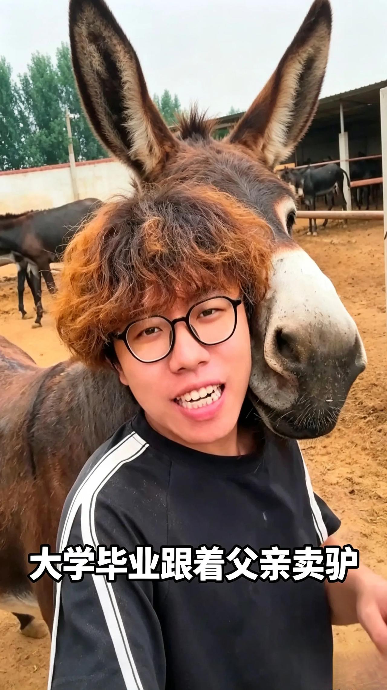 大学生跟着老爸卖驴，父子排班理由笑翻不少网友河北廊坊的00后小伙喻清雨，网友称