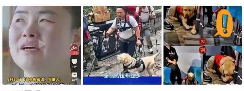 爬泰山后续，王女士已失业，不得已从北京回了老家吉林！王女士说她很委屈，她和狗