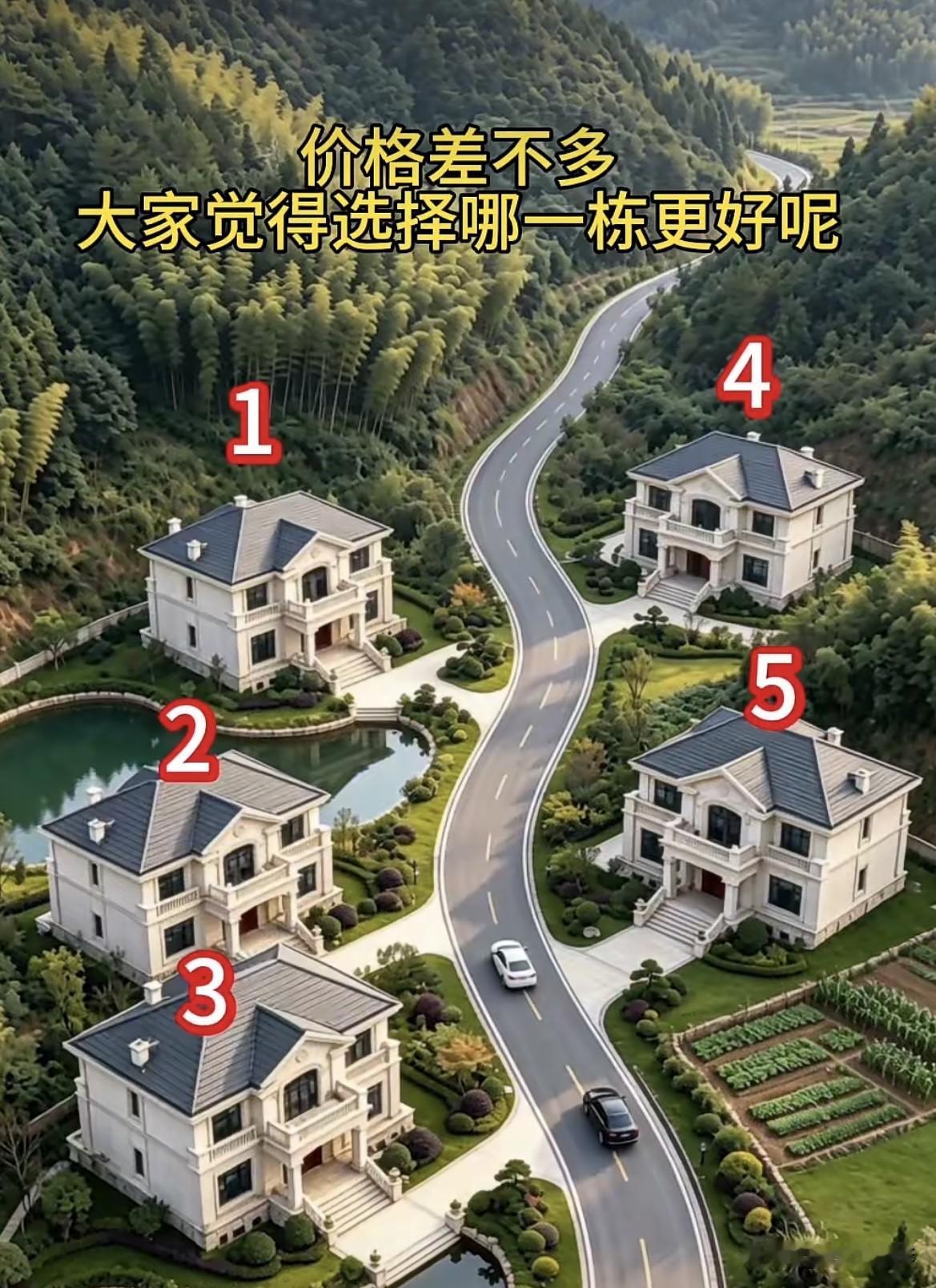 价格差不多，大家觉得选择哪一栋更好呢⁉️换做是你会选择哪一栋呢⁉️