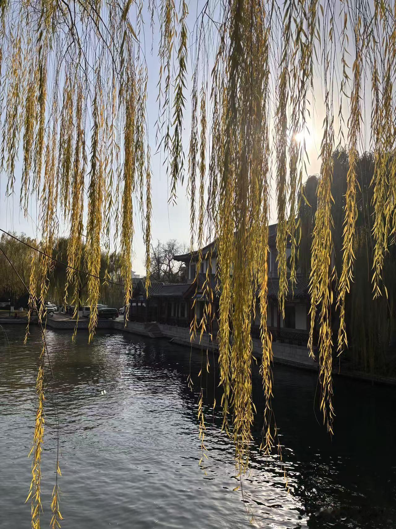 十岁半的娃了还不知道冷热，真是让人操心。今天下班回家听老妈说娃放学回家满头大汗