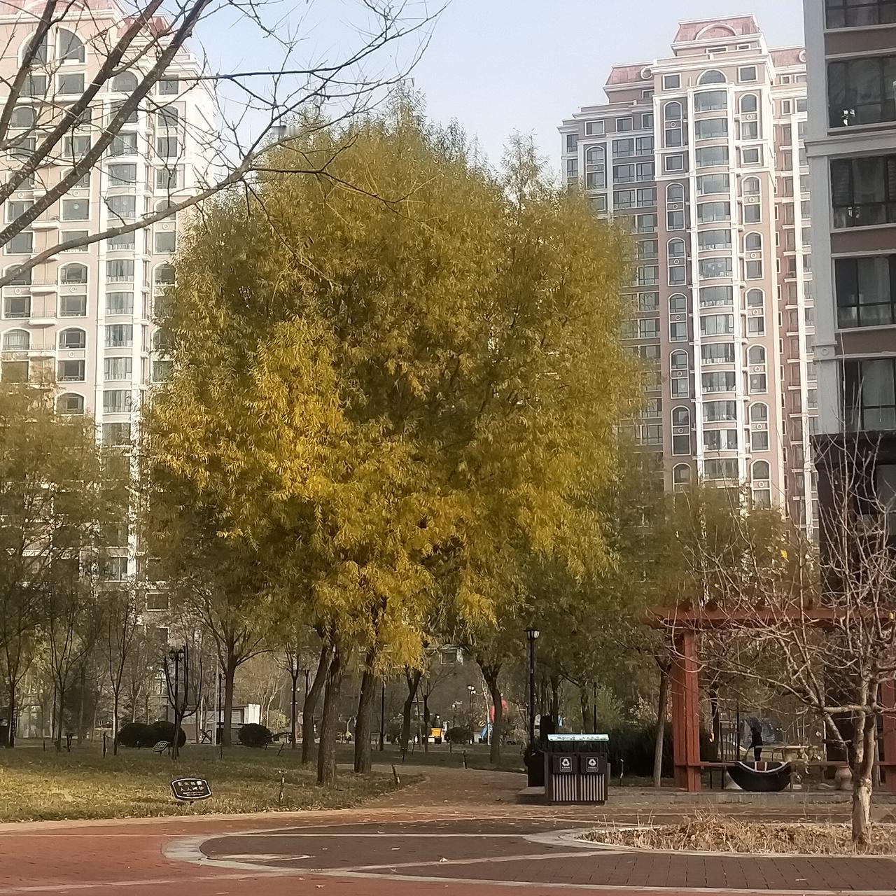 岁月如梭,转眼间又是一年落叶满地。活到我们这个年纪,才深深懂得,不是人生的终点,