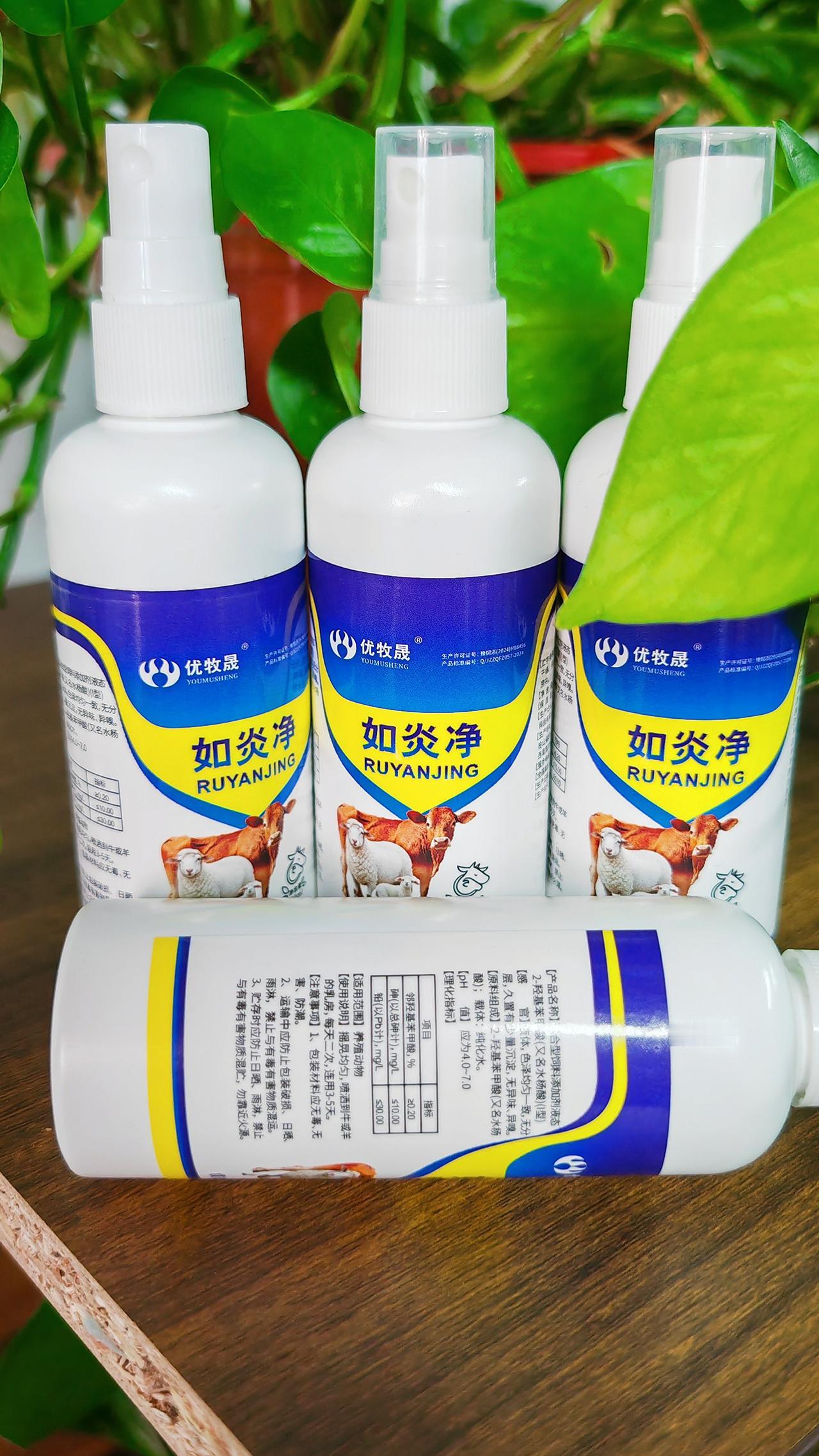 养羊人农村养羊牛羊养殖