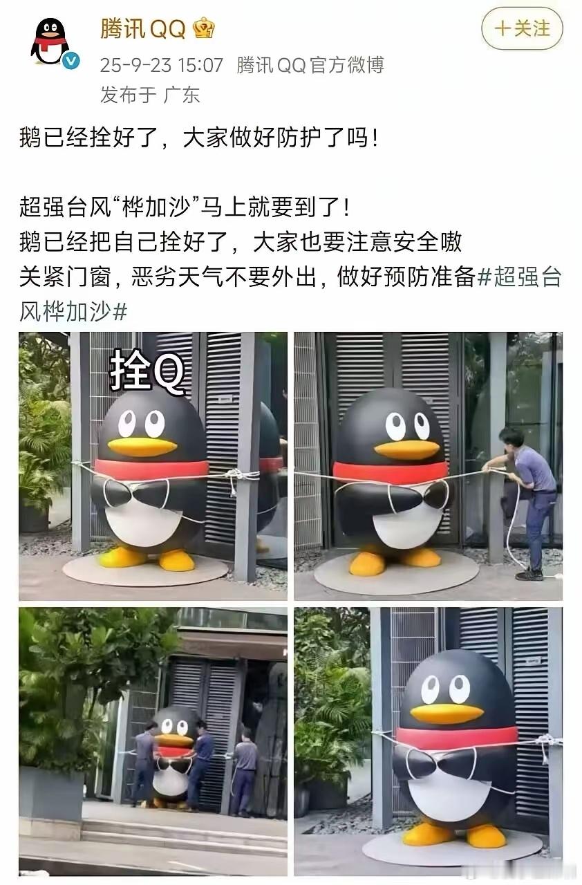 桦加沙登陆广东对不起，这个我不应该笑的，但是我真的没忍住！[捂脸哭]​​​