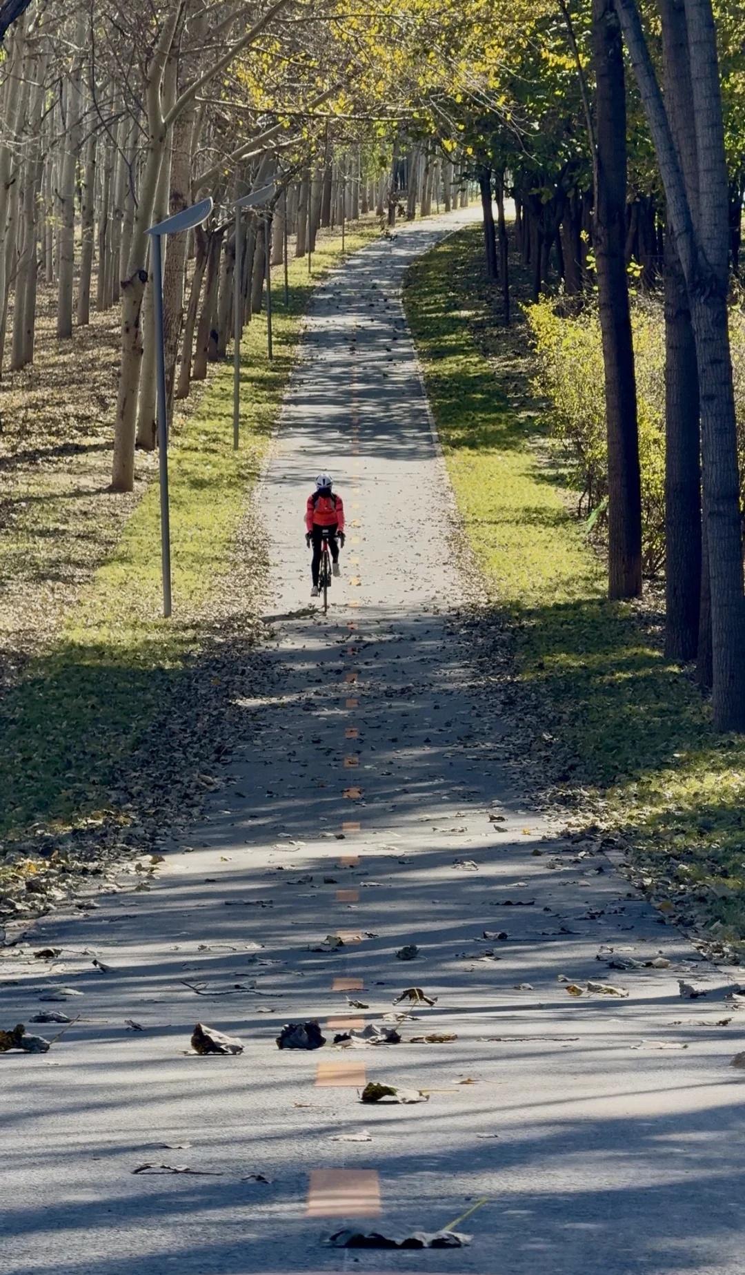 坝河焕新，这条绝美的路线值得再次奔赴坝河至温榆河路段已焕然一新，骑行道基本完工