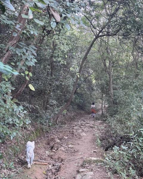 超级适合秋天的徒步路线🍃🚶宁波慈溪童岙登山健身步道虽然叫健身步道，说实话