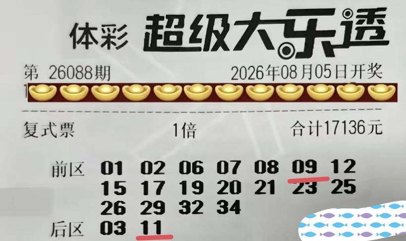 结局令人相当意外，一张投注了17,136元的彩票，只拿到了1+1的资格，连末等奖