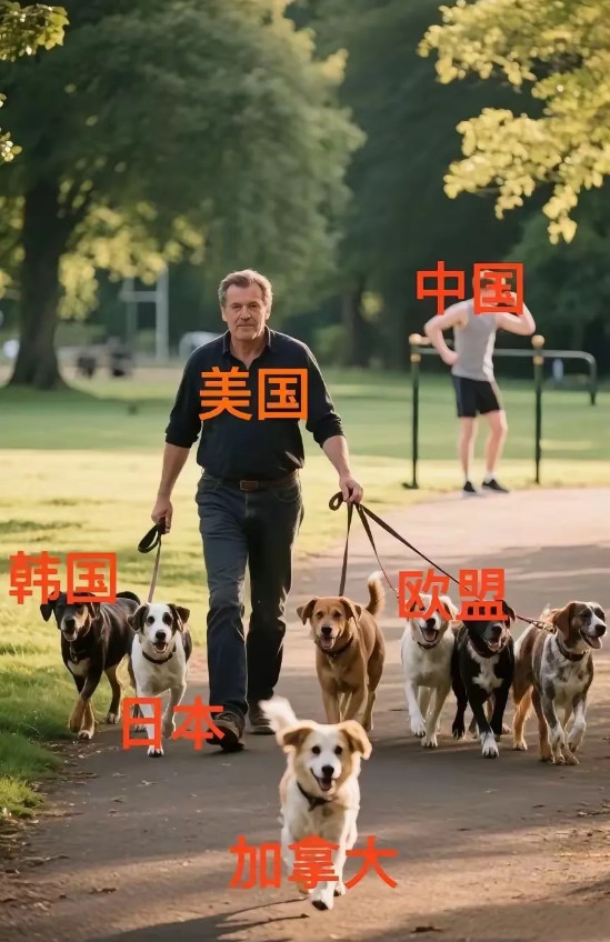 这张照片不错，青春中国，自信从容，朝气蓬勃，活力四射！