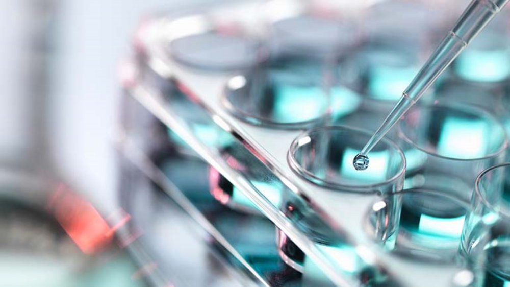 诺奖之后: 重思肿瘤治疗的“底层逻辑”