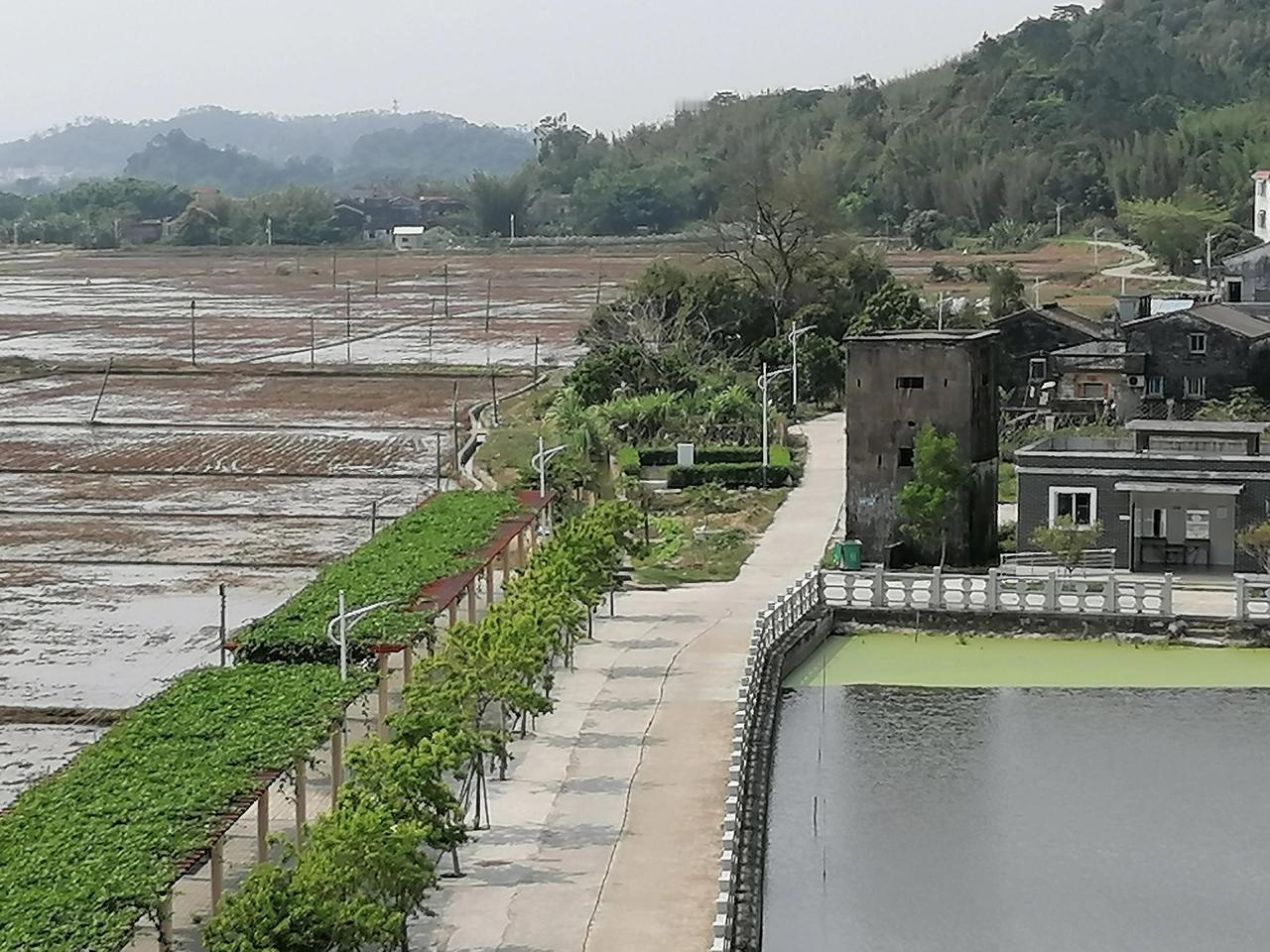 台山斗山镇乡村碉楼