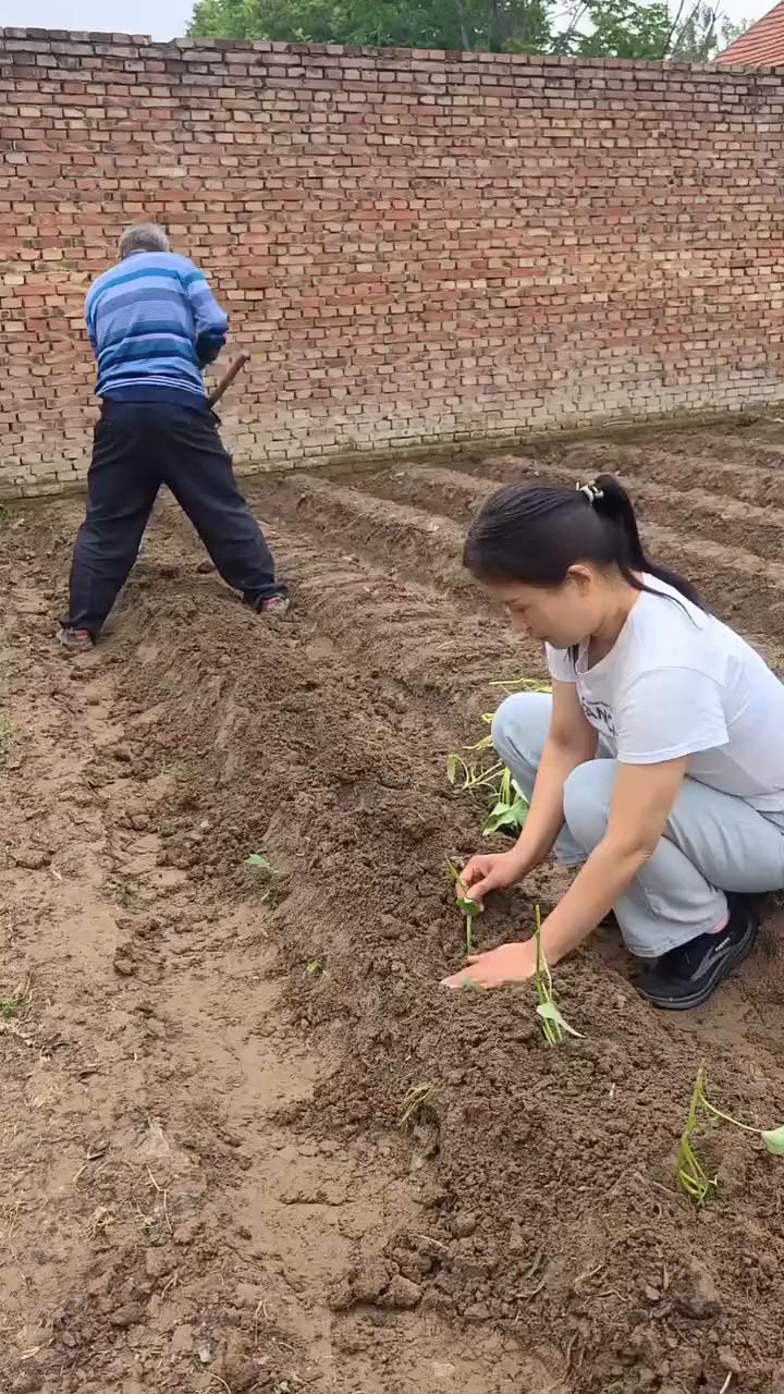 有人。