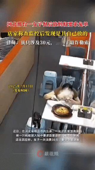 太可气了！河北邢台，一女子为了吃霸王餐，在享受完美食之后，居然抓起蚂蚁扔到锅里，