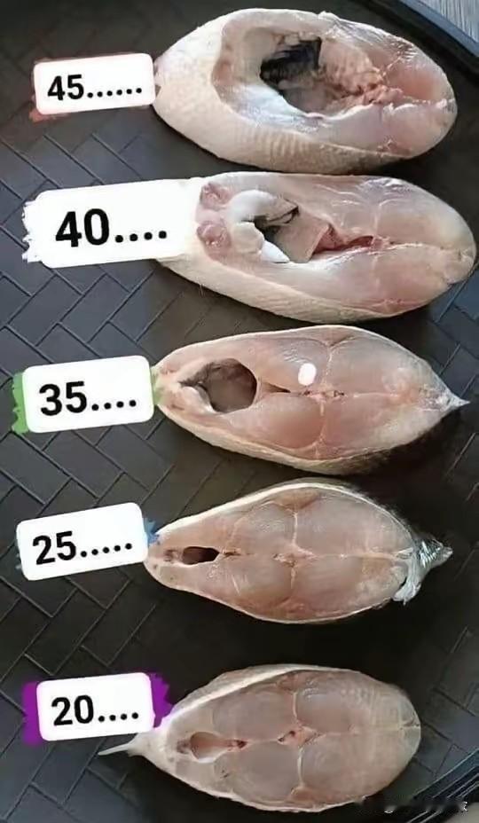 你们看这价格表，尾巴才20块，是整鱼里最便宜的，却是我的心头好！✅全是厚实