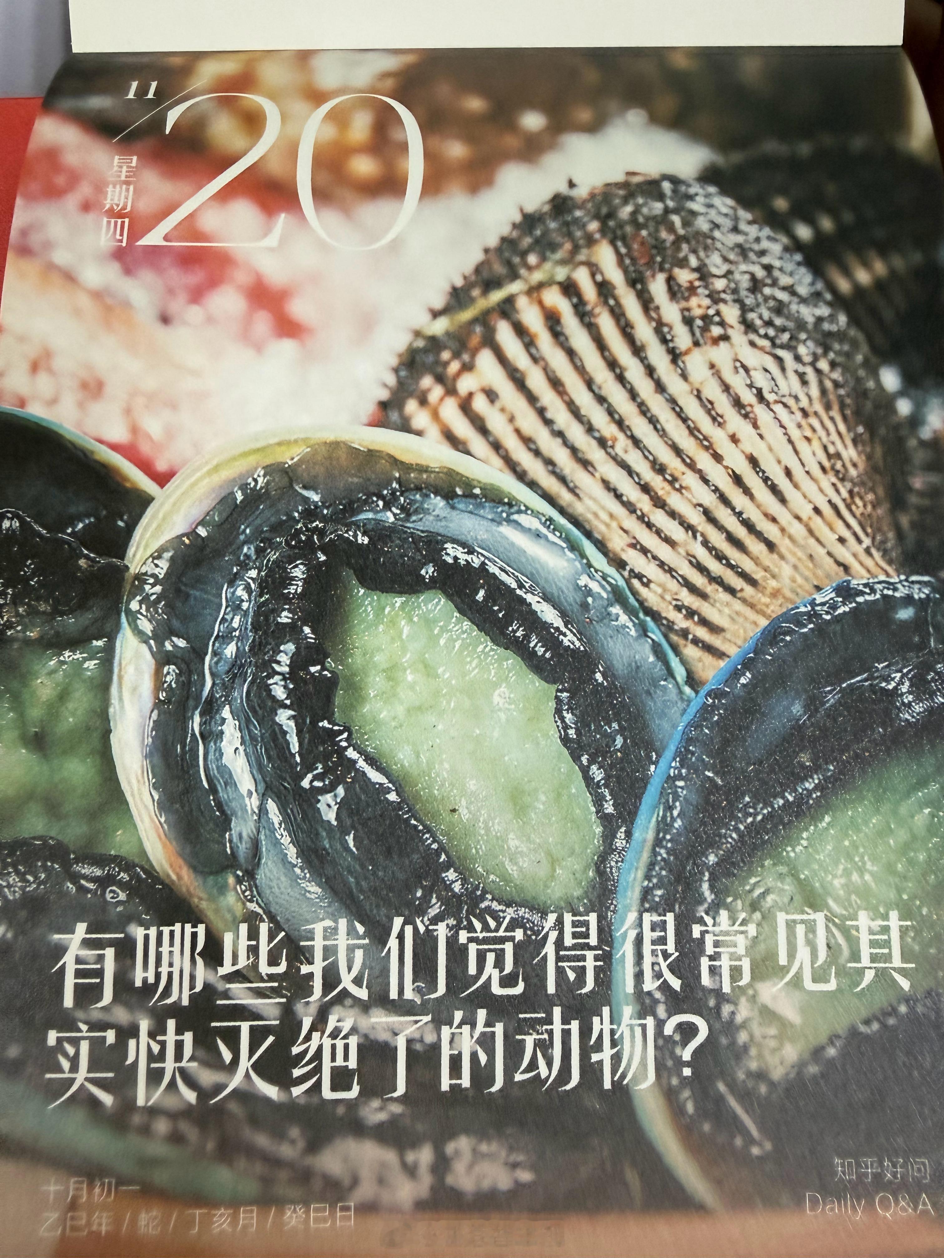 朋友们早！