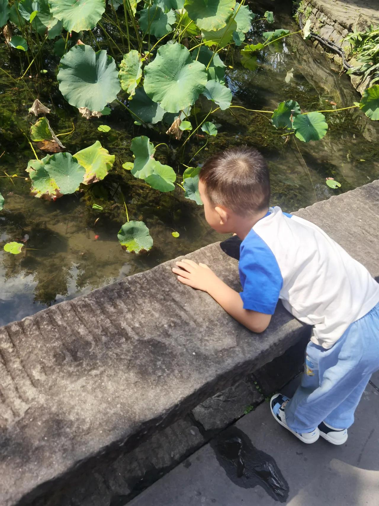 帮别人带娃很积极，自己的孙女却不管？这位阿姨的选择让全家炸锅！李阿姨在小区里