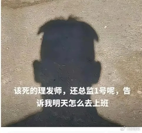 这发型像哪位影视人物？[捂脸哭][捂脸哭][捂脸哭]​​​