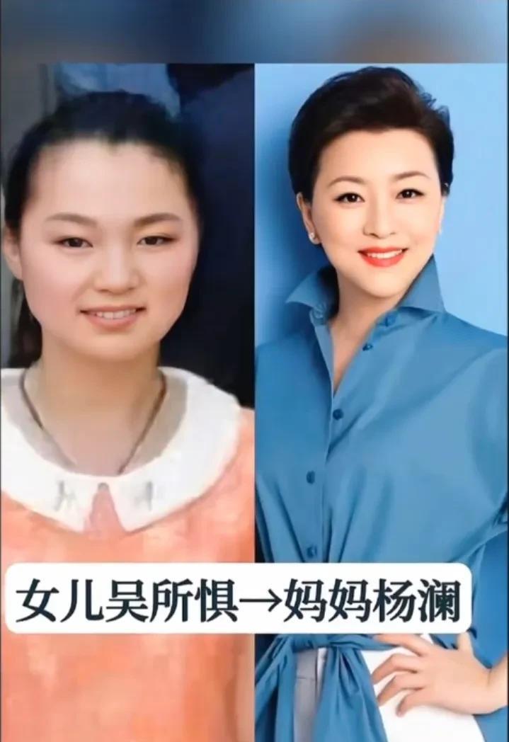 中央电视台10位节目主持人与子女的照片