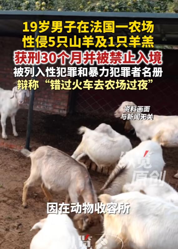 “没救了！”6月24日报道，法国，一男子比较变态，他的欲望无处发泄，竟潜入一所农