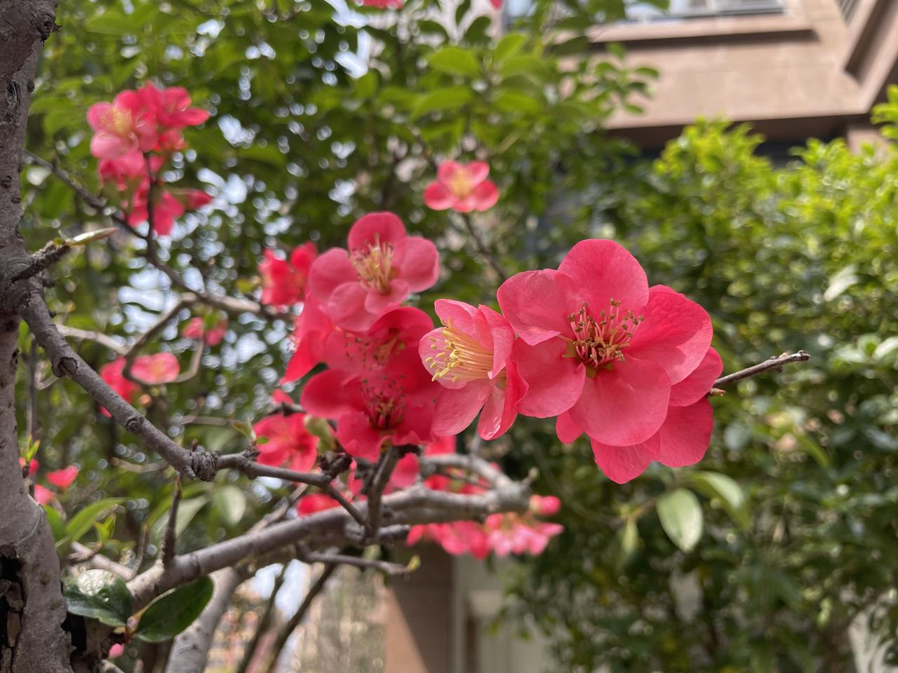 退休金多少，真的决定了你的晚年生活人这一辈子，前半生拼的是体力和能力，后半生