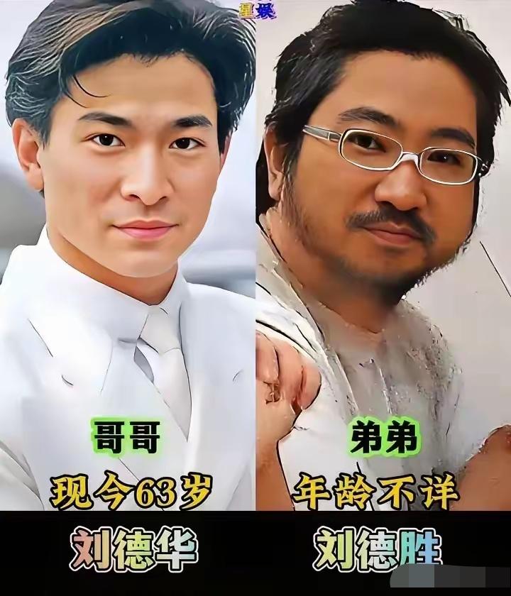 娱乐圈一众明星兄弟，长相差距堪称天差地别，基因的奇妙尽显无遗。刘德华与弟弟气质样