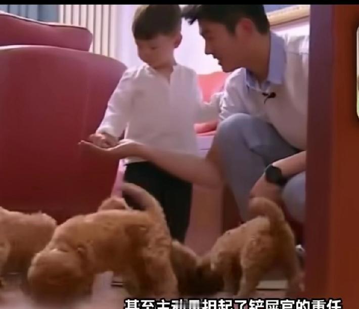 他送她爱马仕那天，她在偷偷观察他如何给狗铲屎。霍思燕决定嫁给杜江，是因为一个下